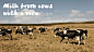 Leo Burnett Design Australia : Leo Burnett Design Australia