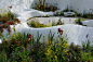 Pure Foundation Garden - Chelsea Flower Show 2015