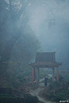 Echohg采集到风景