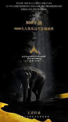 白羊思玺采集到傣王宫