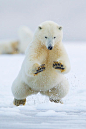 (3) Tumblr