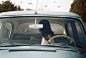 Mariam Sitchinava on Behance