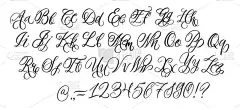白色背景上的手写字体。绘制的矢量字符：小写和大写。您的设计的排版草书字母：徽标、字体、卡片、海报