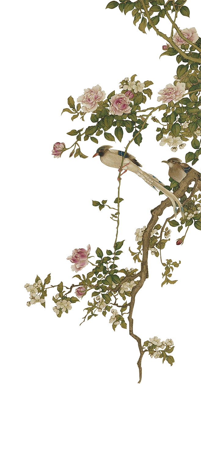 a64c5a6dcb0d73-jKbA3...