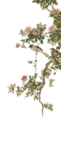 a64c5a6dcb0d73-jKbA31_fw1200