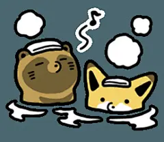 #狐狸#【狐狸表情包收集010】【狐狸和狸猫1】Raccoon dog &amp; Fox