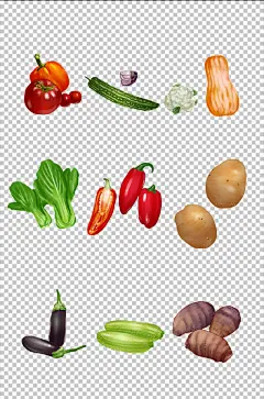 番茄苦瓜南瓜青菜辣椒土豆茄子蔬菜元素插画