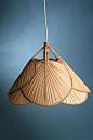 modern lamp with natural element