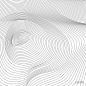 曲线纹理