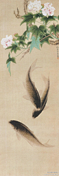 朱佩君 工笔花鸟画《芙蓉鲤鱼》--- 整幅作品工整细致，主题突出，画面简洁，造型能力强，富于节奏感。柔韧有弹性的线条，清新的色调，严谨的造型，描绘了一幅芙蓉盛开，鲤鱼嬉戏，生机盎然，充满情趣的画面。(770×2270)