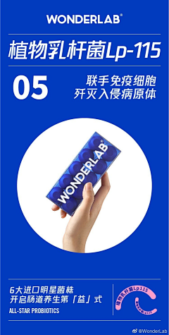 西追儿采集到各种排版