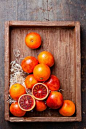 ZONE 10 and cold-hardy to 32F - Moro Blood Orange Tree » Store » Tomorrow's Harvest by Burchell Nursery
