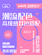 高级明亮的潮流配色