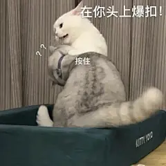 甜甜的恋爱表情包_09 (2)