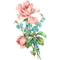 free png vintage flower collection : free png vintage flower collection 