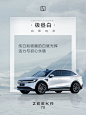 其中包括图片：