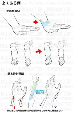 十羽214采集到手