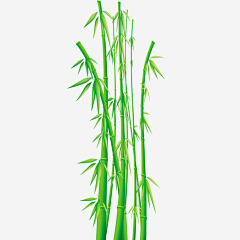 B-CORGI采集到植物素材
