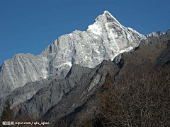 解渴果采集到风景