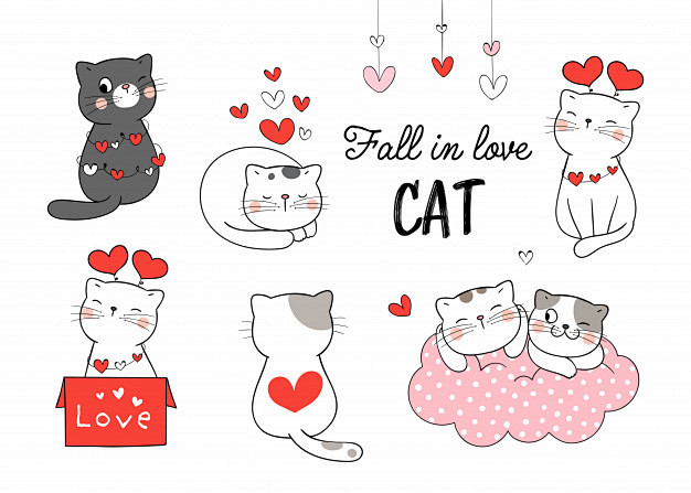 Draw collection cat ...