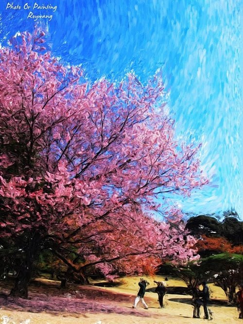 RoyWang 油画摄影作品