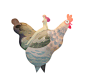 Free Range