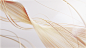 Shiseido 资生堂悦薇面霜  Behance