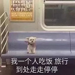 表情包，微信聊天表情包