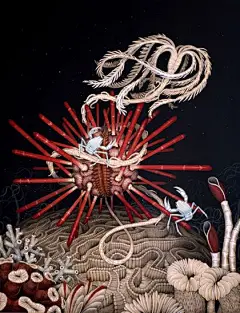 国外一组动物插画作品