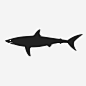 鲨鱼短鳍鲨图标_88ICON https://88icon.com 鲨鱼 短鳍鲨
