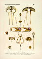 1900年代法国新艺术运动先驱 Paul Follot的珠宝首饰设计图鉴。法国作为新艺术运动的发源地，在19世纪末到20世纪初的短短几十年间出现了大量的天才级的新艺术风格的艺术家，Paul Follot就是其中非常重要的一位。新艺术的珠宝设计颠覆了整个世界的艺术和审美，它架构了珠宝艺术由古典通往现代的桥梁。@北坤人素材