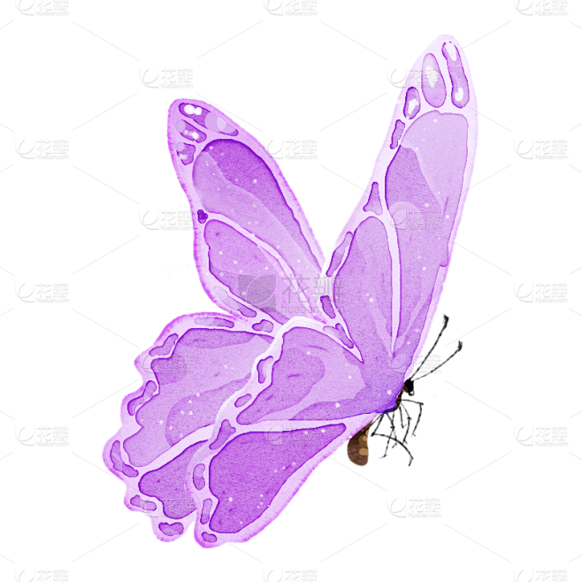 水彩-小昆虫蝴蝶元素