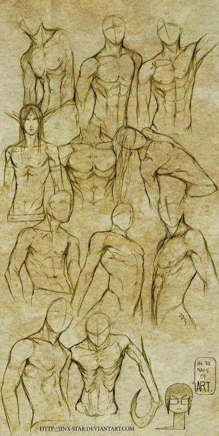 绘画参考jinxstar的男性人体结构练习多数是躯干练习