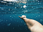 cristian-palmer-RaOKzBtN8fI-unsplash