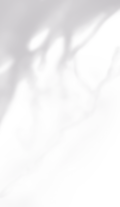 投影1