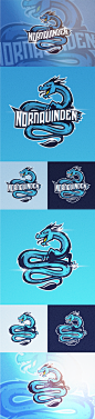 Northwind team | Branding : Northwind emblem identity