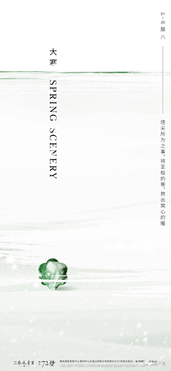 高妹啊采集到背景-绿植