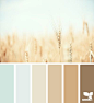 wheat tones -- One of the blue/greens for the walls...neutrals for stability...splashes of other colors for pop