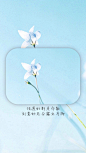 花语