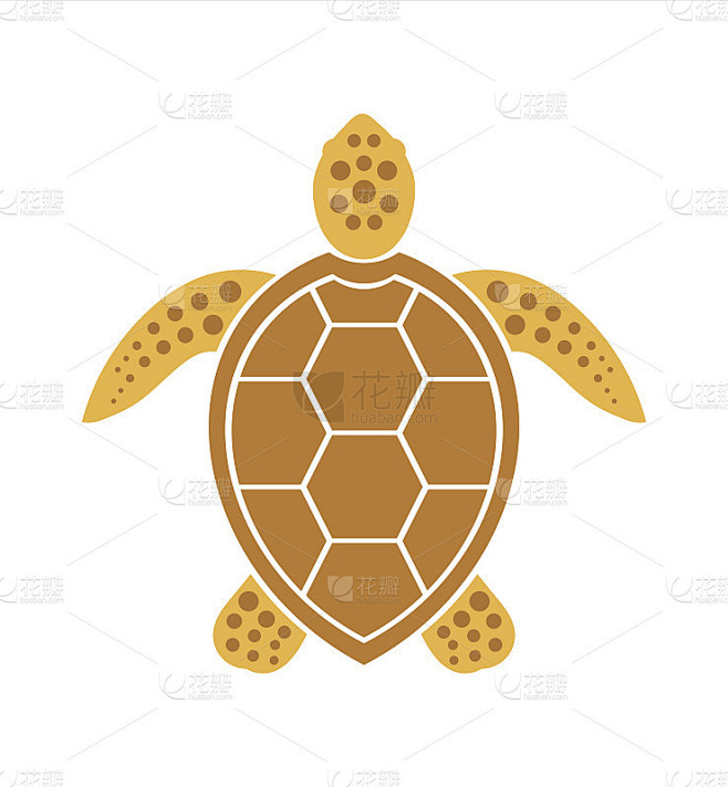海龟图标