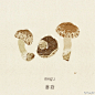 #蔬食绘画# 都是最平常的蔬菜。前几天大半夜整理画稿编辑图片时打字，写黄瓜土豆这样的词汇都会觉得莫名的亲切感，说到底小时候得跟着大人施肥松土种这些，晴天下雨这些词汇都和童年记忆融在一起了~ #越来越不想干插图工作了#