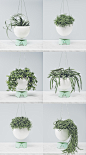 Spring Haircut 2016 : A spring project for my hairdresser friends Zopfgeschwister.