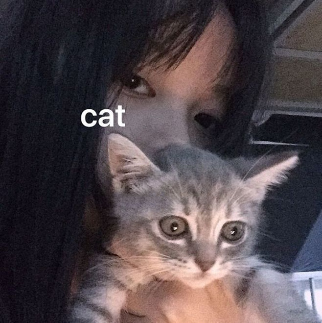 @大佬mmm
女头