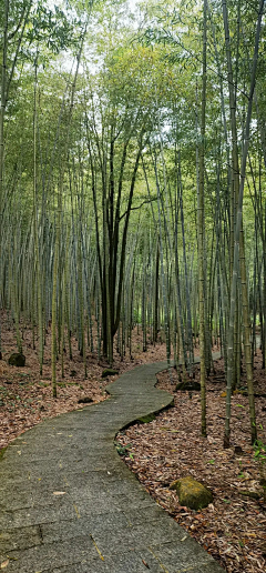 钟慕樱采集到厚涂(场景)