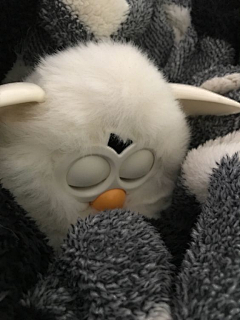 白色的PEKO酱采集到FURBY