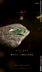 小暑