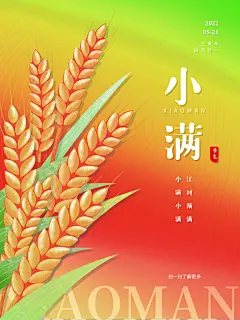 传统节气小满宣传夏季二十四节气小满海报