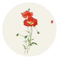 瞎起名采集到花
