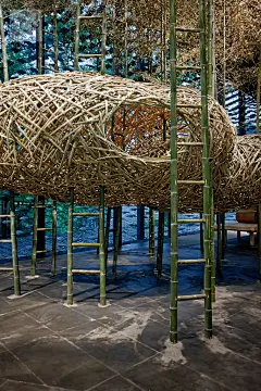 东方竹，东方学，东方艺术-中国美院竹生活艺术展 - 商业空间设计 - 拓者设计吧 - Powered by Discuz!