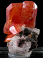 Wulfenite from Arizona by John Betts@北坤人素材